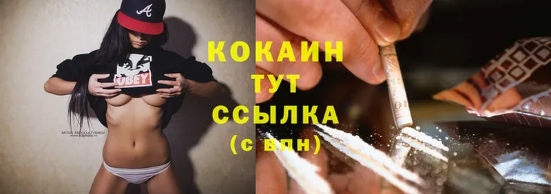 COCAIN Fish Scale  darknet официальный сайт  Нефтекумск 