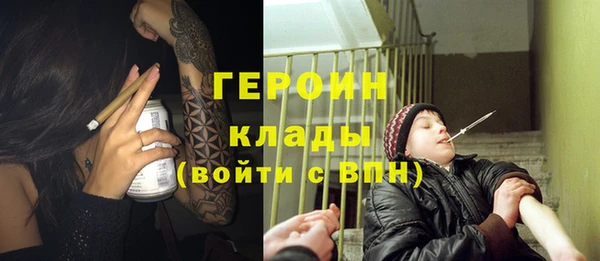 гидра Надым