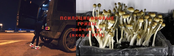 мдма Нея