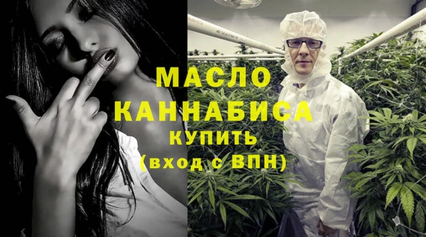 гидра Надым