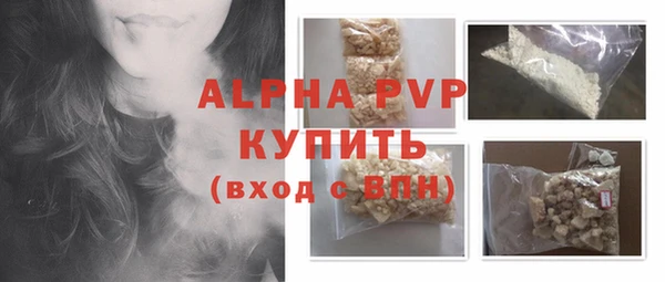гидра Надым