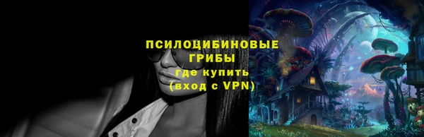 гидра Надым
