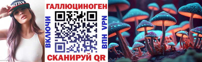 Псилоцибиновые грибы Psilocybine cubensis  MEGA   Нефтекумск 
