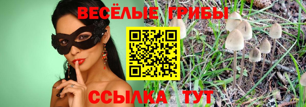 Псилоцибиновые грибы прущие грибы Нефтекумск